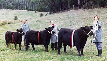 1977